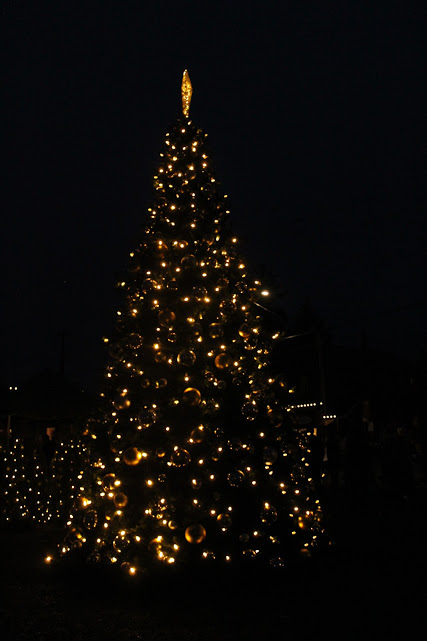 The beautiful tree was lit by the mayor Brian Rake for all the people of Carlton. 