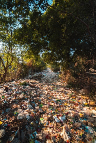 Plastic lays on the ground in an outside area surrounded by trees. This is what common areas could look like where plastic is not disposed of.